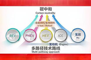 雷竞技赞助了多少